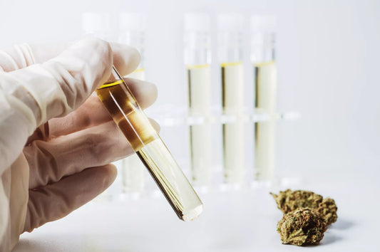 THC-O Is Now Illegal, Ruled By DEA - Carolina Dream