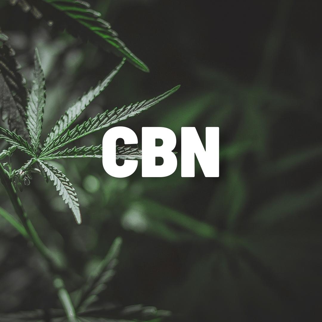 What is CBN?- Carolina Dream