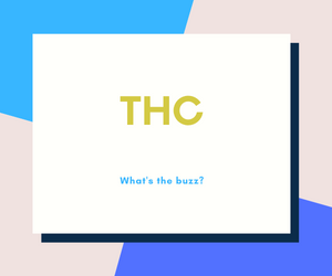 What Is THC?: Carolina Dream