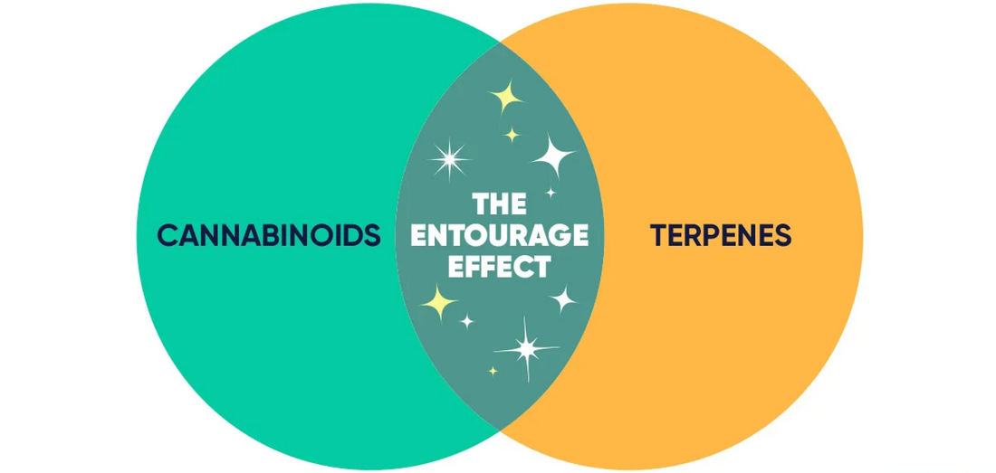 Multicannabinoidal & Terpene-Infused Gummies Are the Future of Functional Cannabis